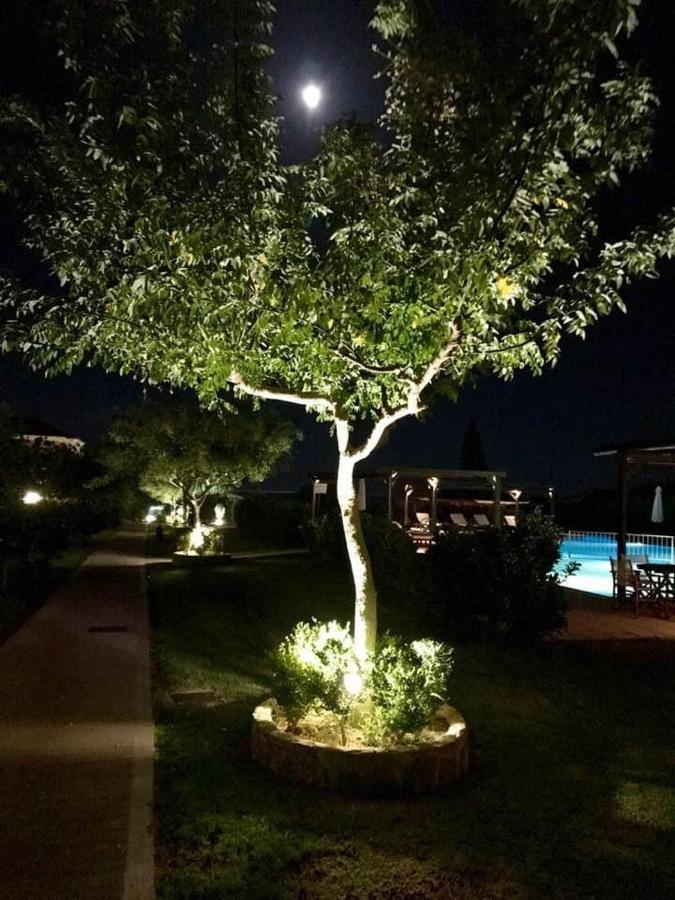Boutique Hotel Ileas Village Arkoudi Zewnętrze zdjęcie