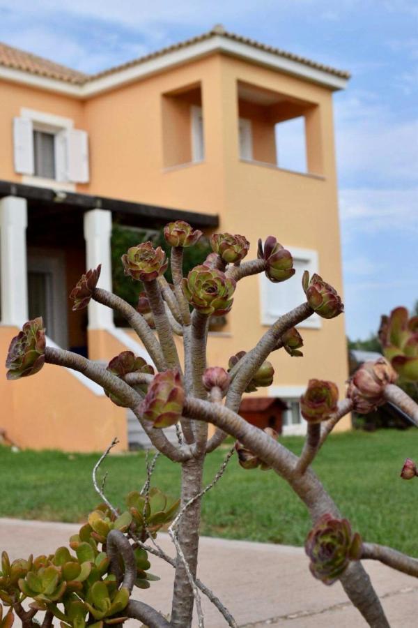 Boutique Hotel Ileas Village Arkoudi Zewnętrze zdjęcie