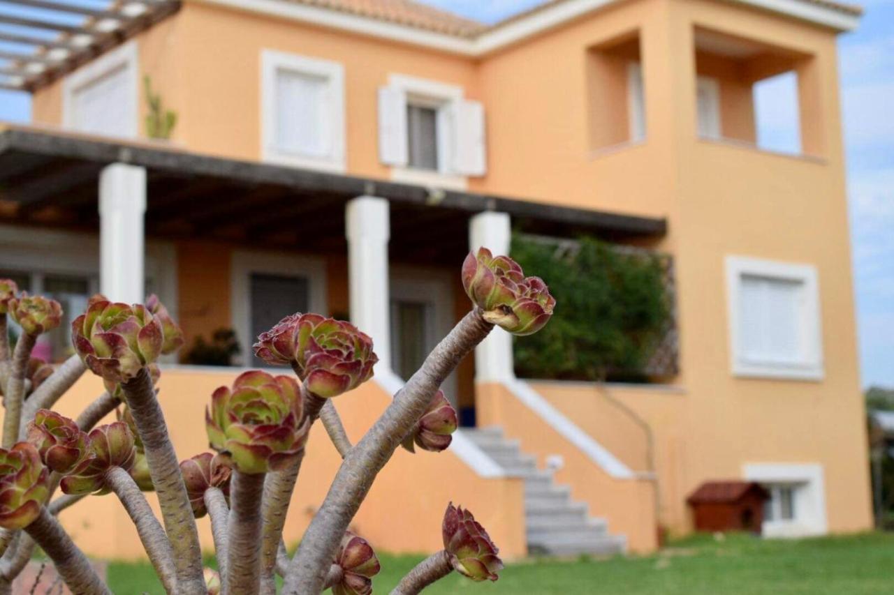 Boutique Hotel Ileas Village Arkoudi Zewnętrze zdjęcie